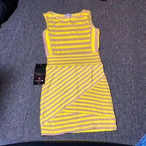 Bebe Energetic Mixed Stripe Skirt dress